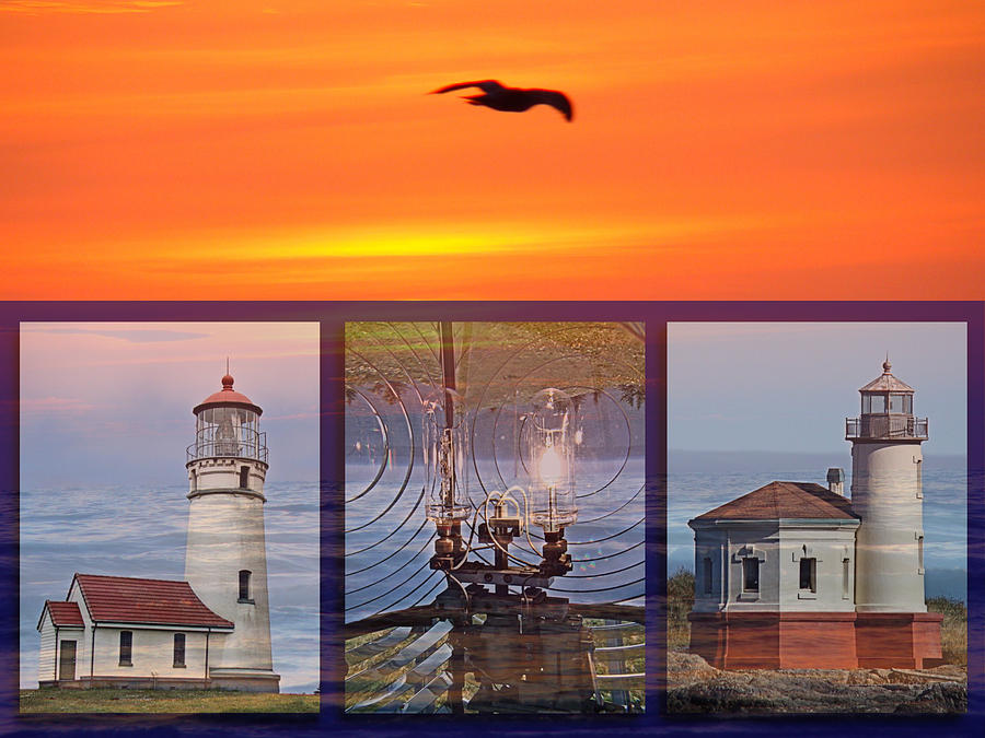 Oregon Coastal Lighthouse Triptych Photograph by Nick Kloepping