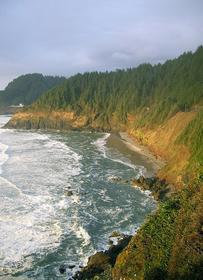 Oregon Coastline Photograph by Margaret Pitcher