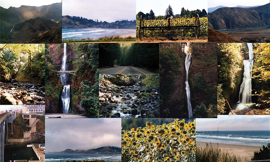 Oregon Collage from Sept 11 pics Photograph by Maureen E Ritter