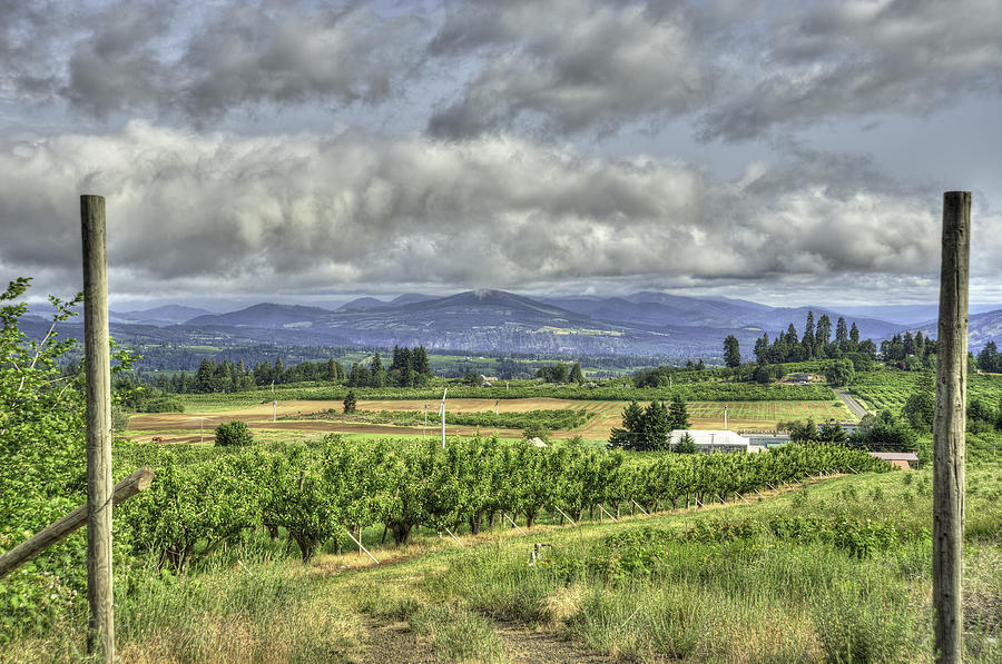 Oregon Farming Valley Photograph by Alan Tonnesen