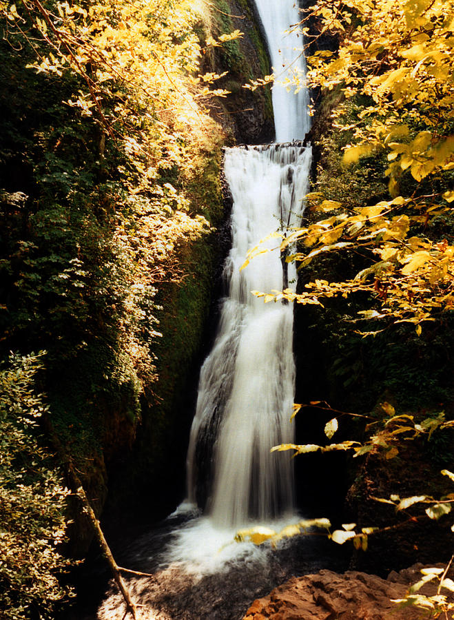 Oregon Waterfall Yellows Photograph by Maureen E Ritter