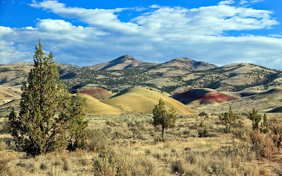 Oregons Painted Hills Photograph by Athena Mckinzie