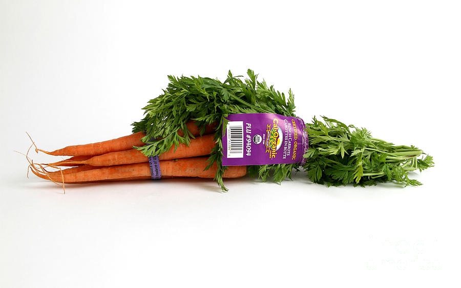 Organic Carrots Photograph by Photo Researchers