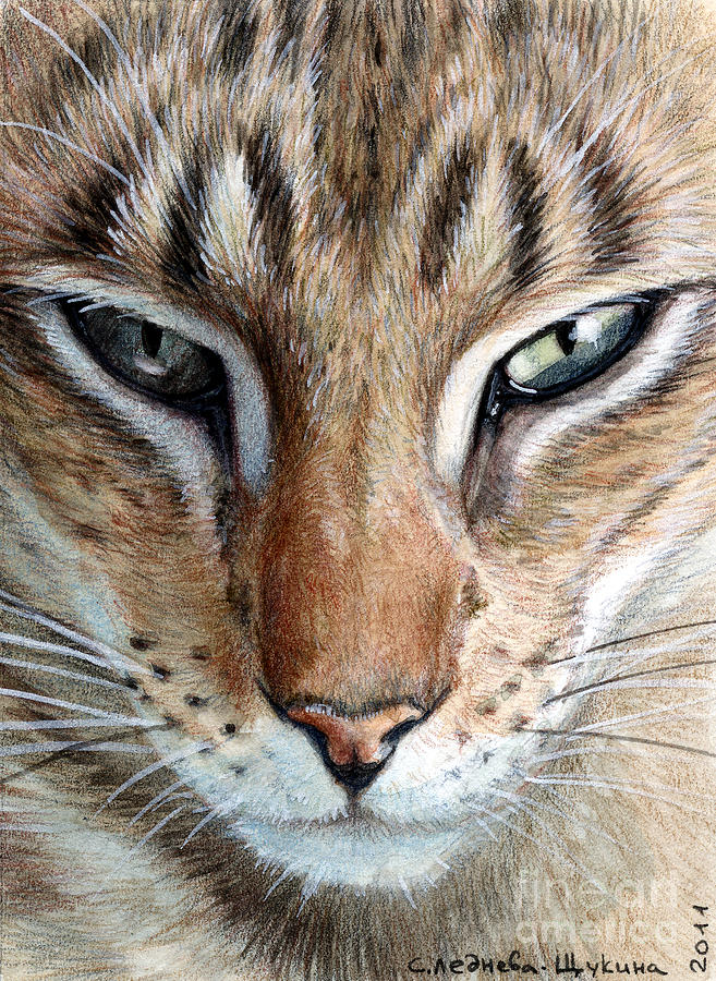 Cat Painting - Oriental cat by Svetlana Ledneva-Schukina
