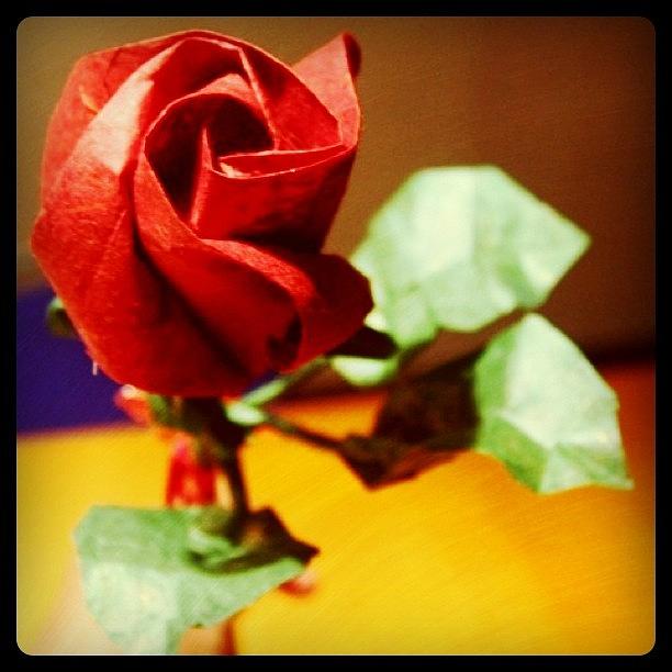 Rose Photograph - #origami #red #rose Design Is A by Cindy Ho