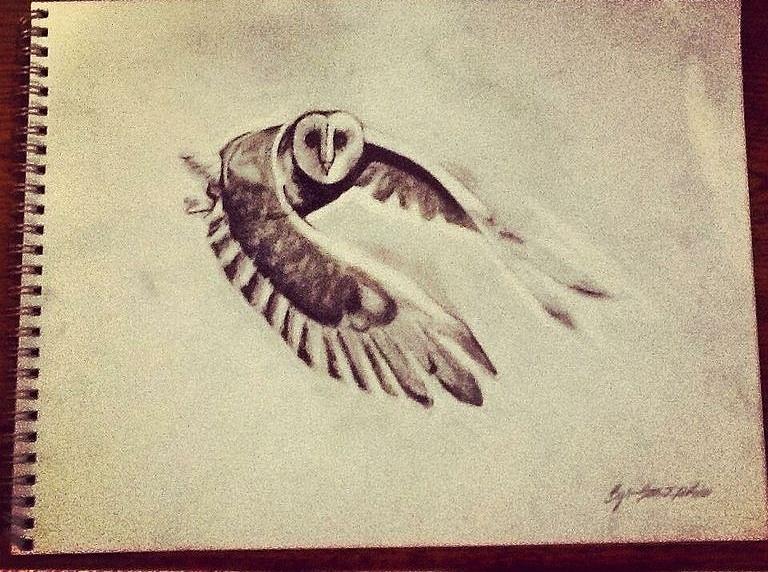 Original owl sketch Drawing by Ivan Patino