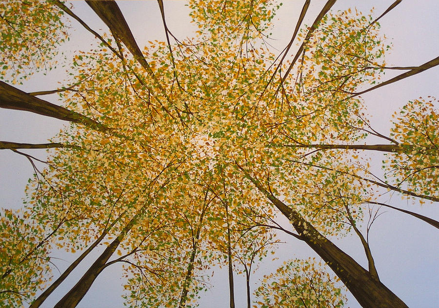 Original Tree Painting LOOK UP by Amy Giacomelli Painting by Amy Giacomelli