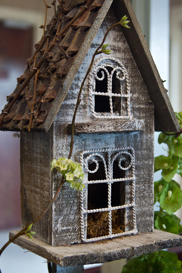 Ornamental Birdhouse 2 Photograph by Douglas Barnett