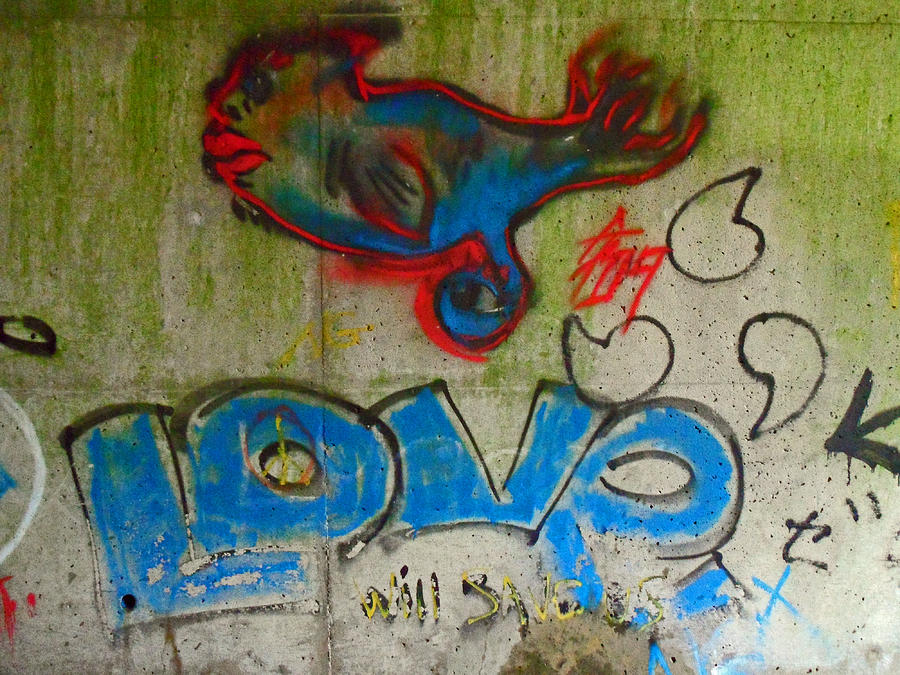 Orono Grafitti 14 Photograph by Cyryn Fyrcyd
