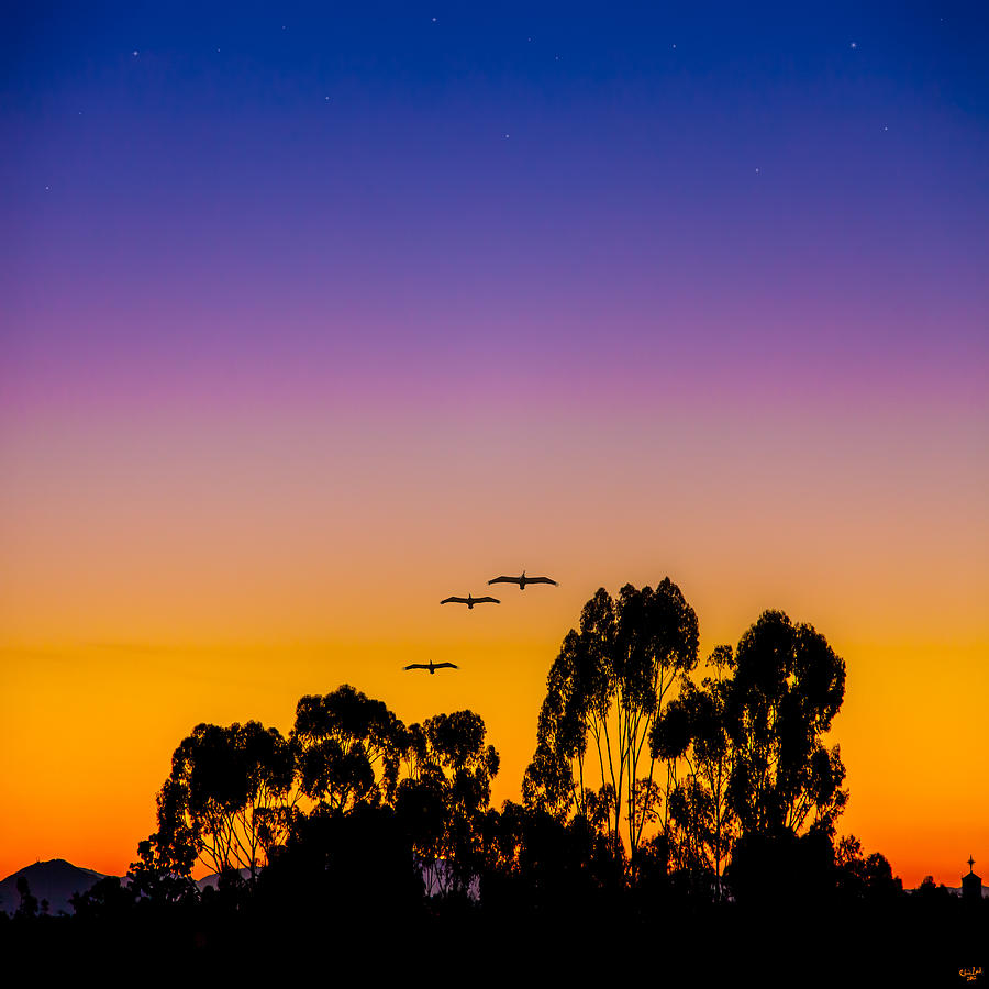 Osibisa Dawn Photograph by Chris Lord