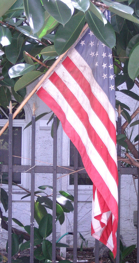 Nature Photograph - Our American Flag by Hannah Lasky