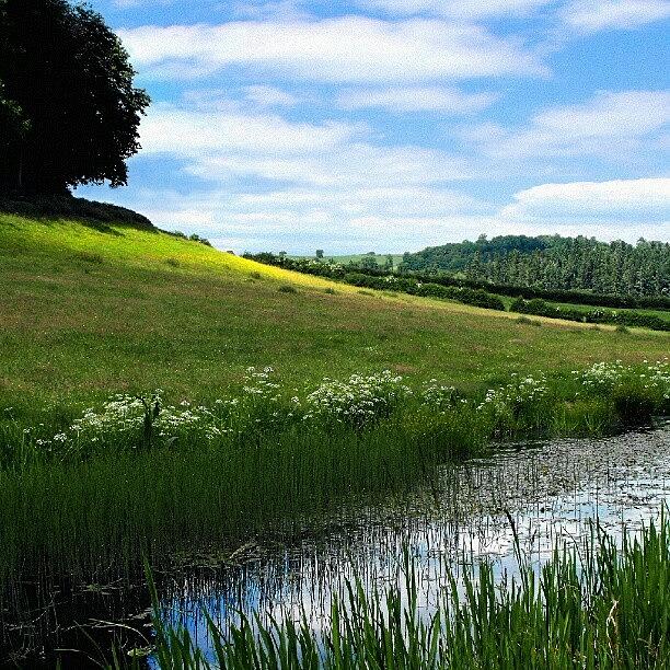 Summer Photograph - Our #canal On A Better Day... #wales by Linandara Linandara