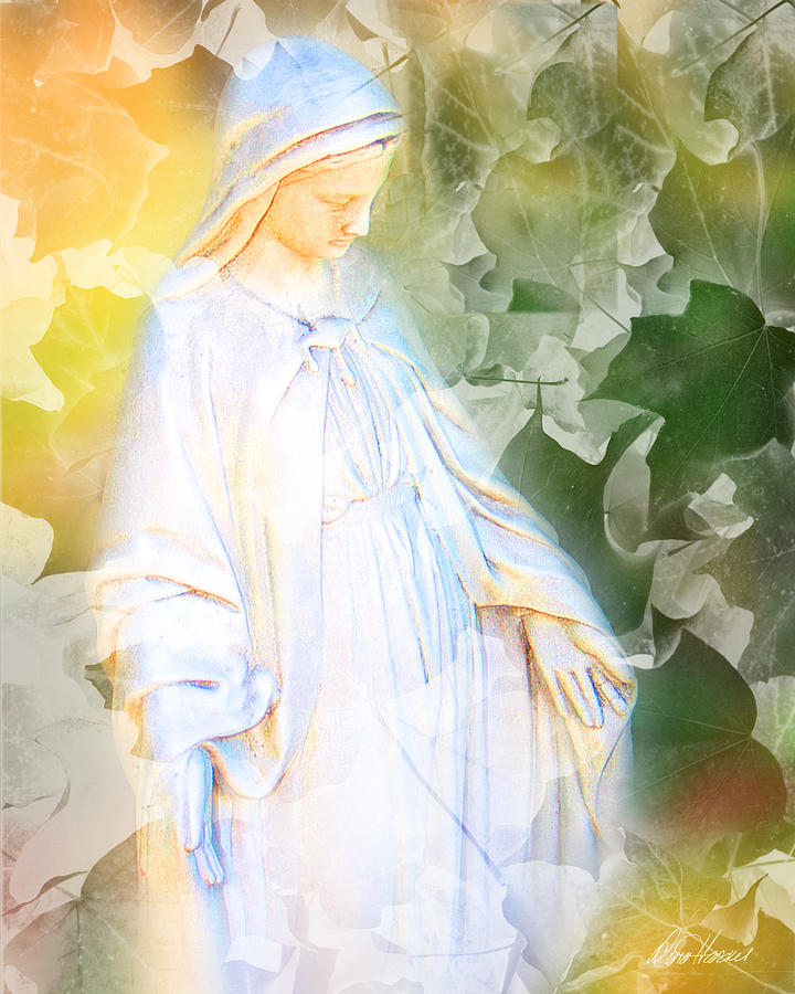 Our Lady of Nature Photograph by Diana Haronis