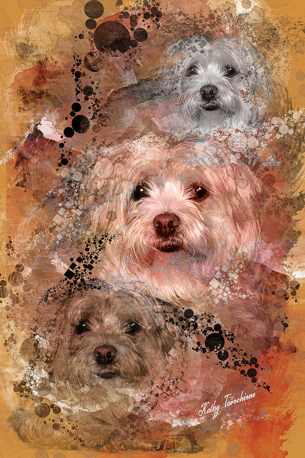 Dog Digital Art - Our Mandie by Kathy Tarochione