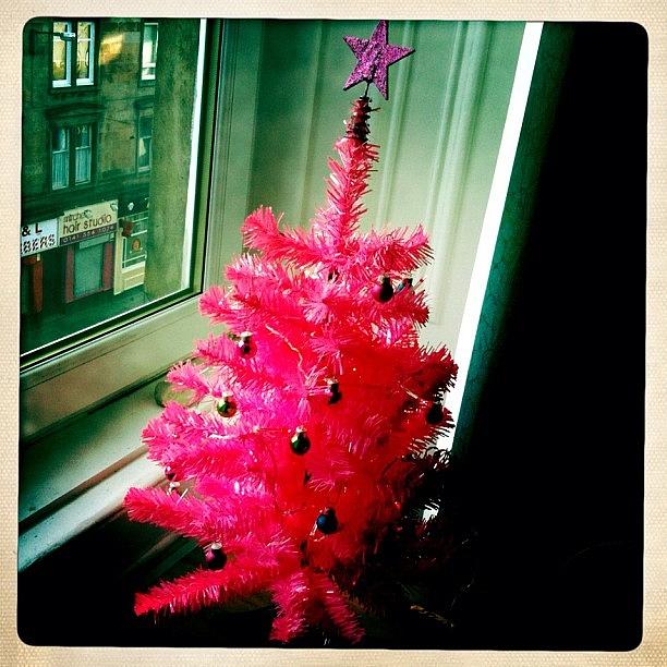 Christmas Photograph - Our Subtle Little #christmas Tree! by Michael James