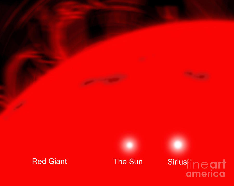 Space Digital Art - Our Sun And The Star Sirius Compared by Ron Miller