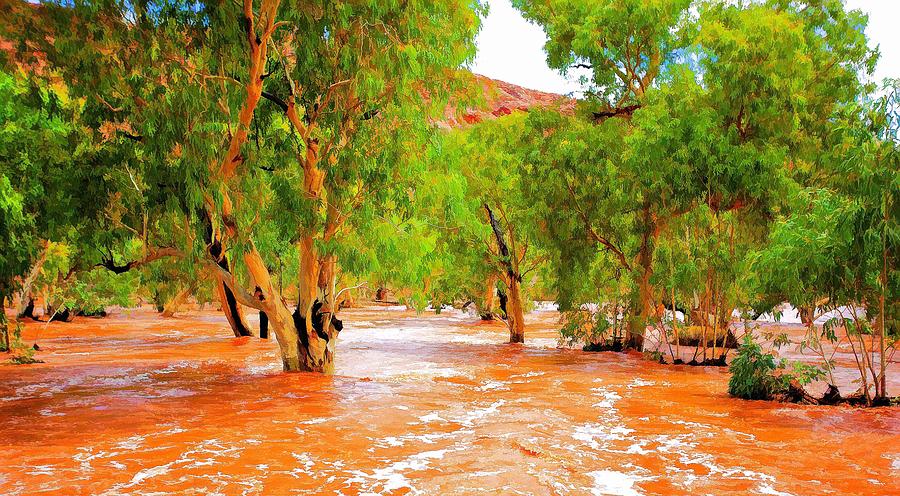 Todd River Photograph - Outback Flood by Paul Svensen