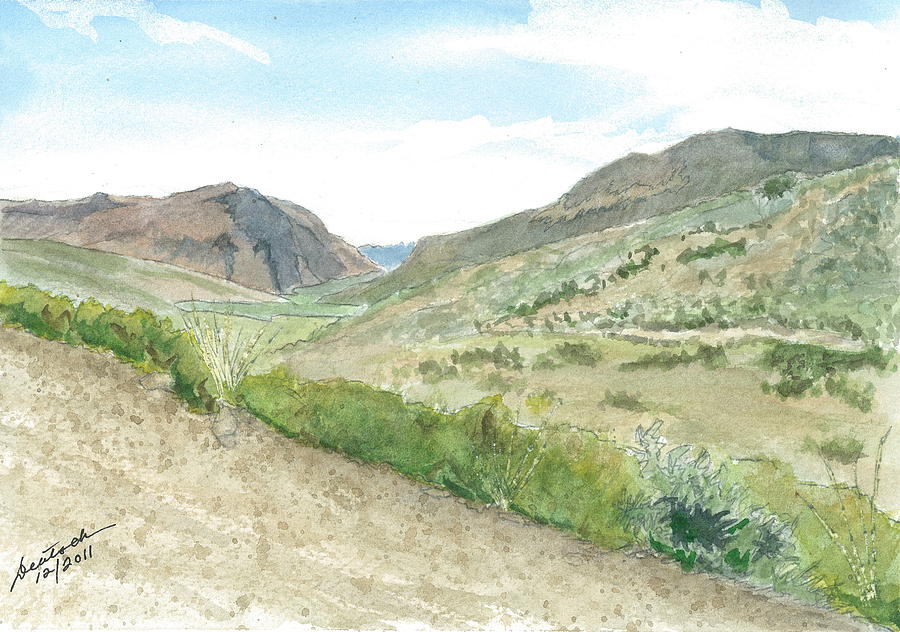 Outback Nevada Painting by Joel Deutsch