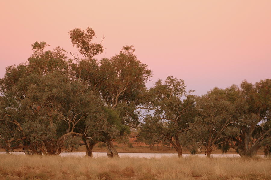 Outback Sky Photograph by Jan Lawnikanis