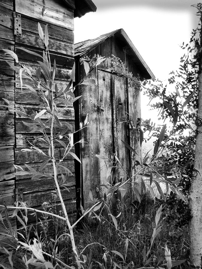 Outhouse 3 Photograph by Susan Kinney