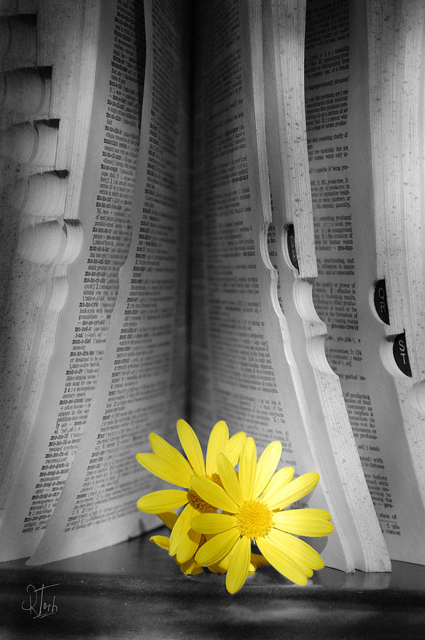 Still Life Photograph - Outstanging Reading by Rozalia Toth