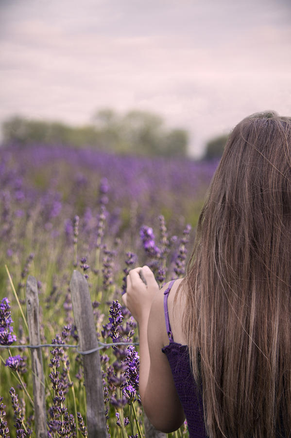 Young Girl Looking Over A Lavender Field  Photograph by Ethiriel Photography