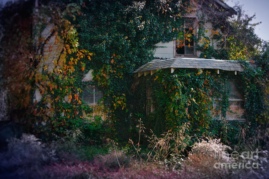 Fall Photograph - Overgrown House Six by Susan Isakson