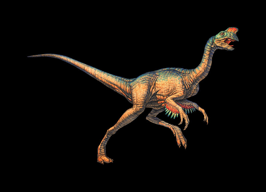 Prehistoric Photograph - Oviraptor Dinosaur by Joe Tucciarone