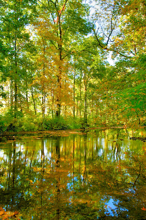 Owens Creek In Autumn I Photograph