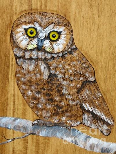 Owl Pyrography by John Lang - Fine Art America