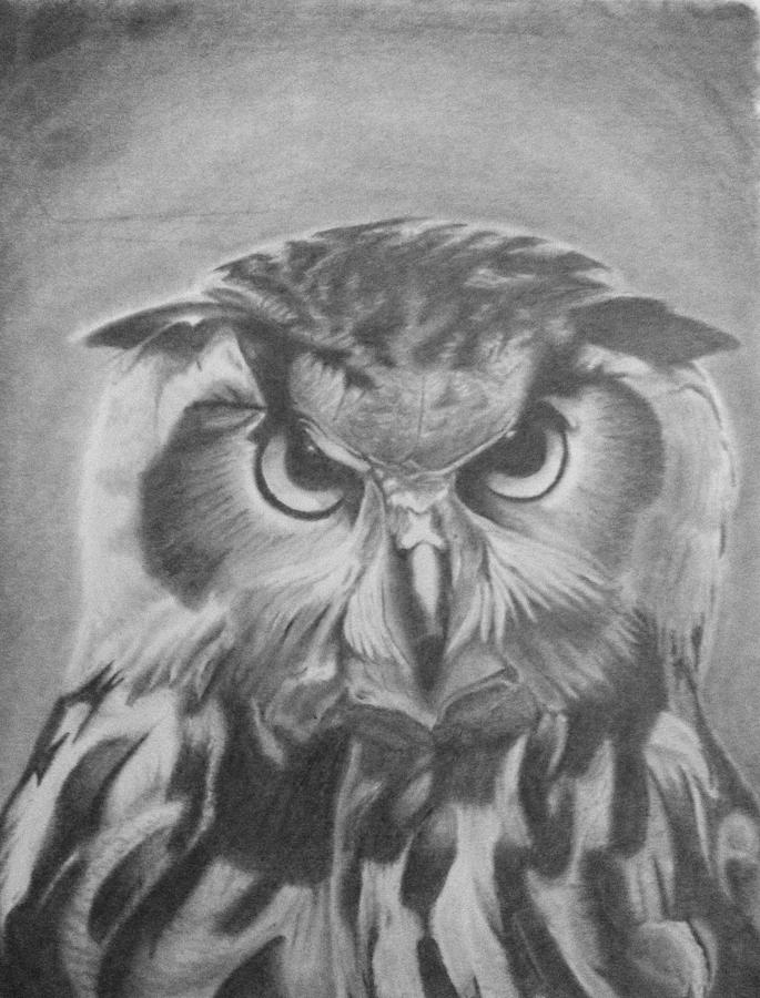 Owl Drawing by Chris Finster | Fine Art America