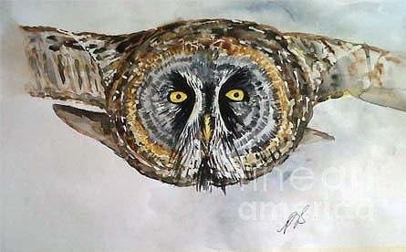 Owl Painting - Owl I. by Paula Steffensen
