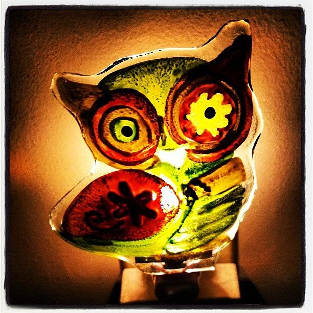 Owl Photograph - Owl Light by Lori Lynn Gager
