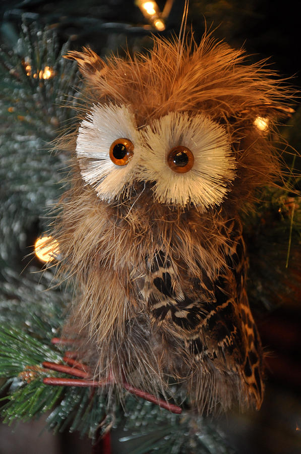 Owl Ornament Photograph by Teresa Blanton