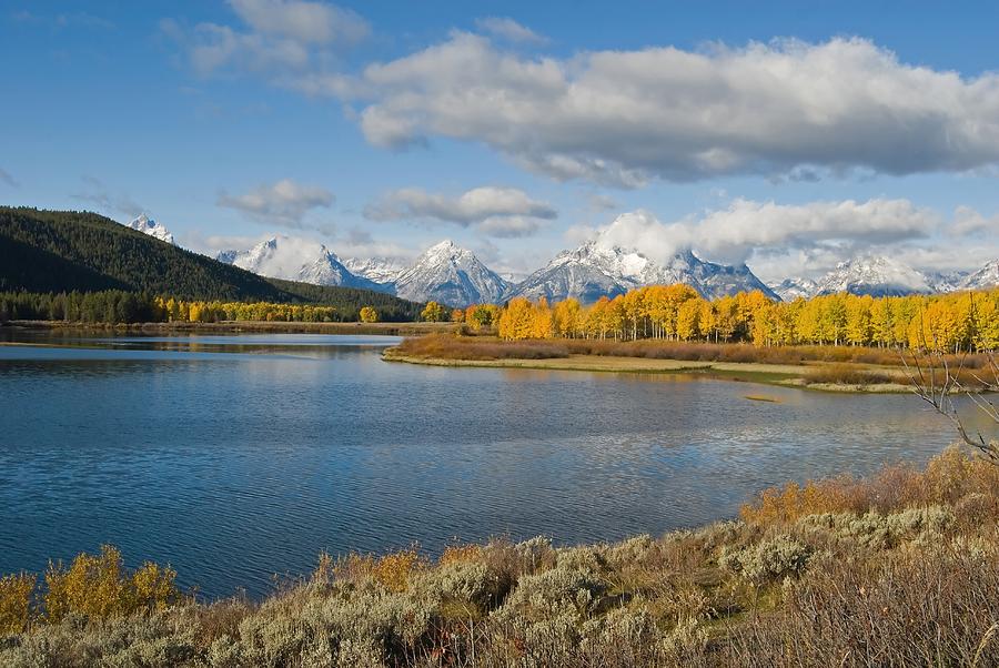 OxBow Photograph by Mary Lane - Fine Art America