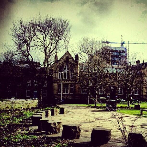 Tree Photograph - #oxfordroad #manchester #trees by Abdelrahman Alawwad