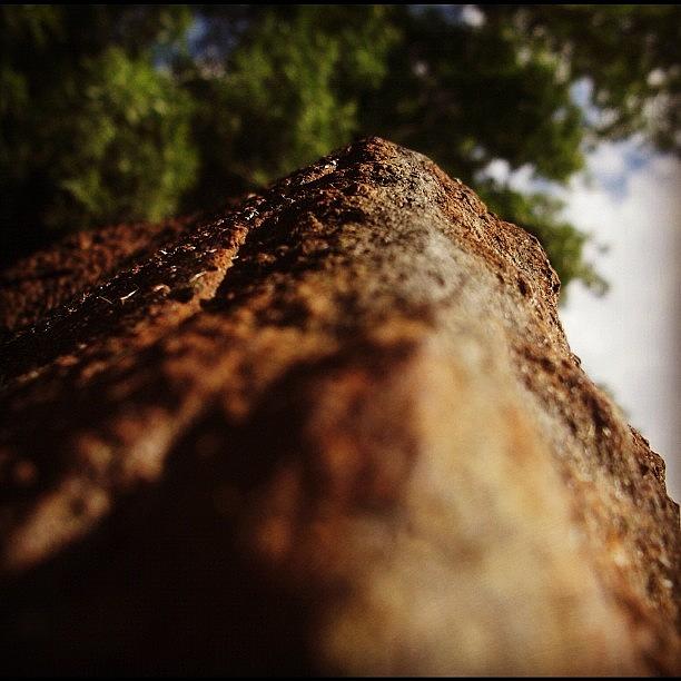 Summer Photograph - Oxidation Growth #rock #life #nature by Blake Camo