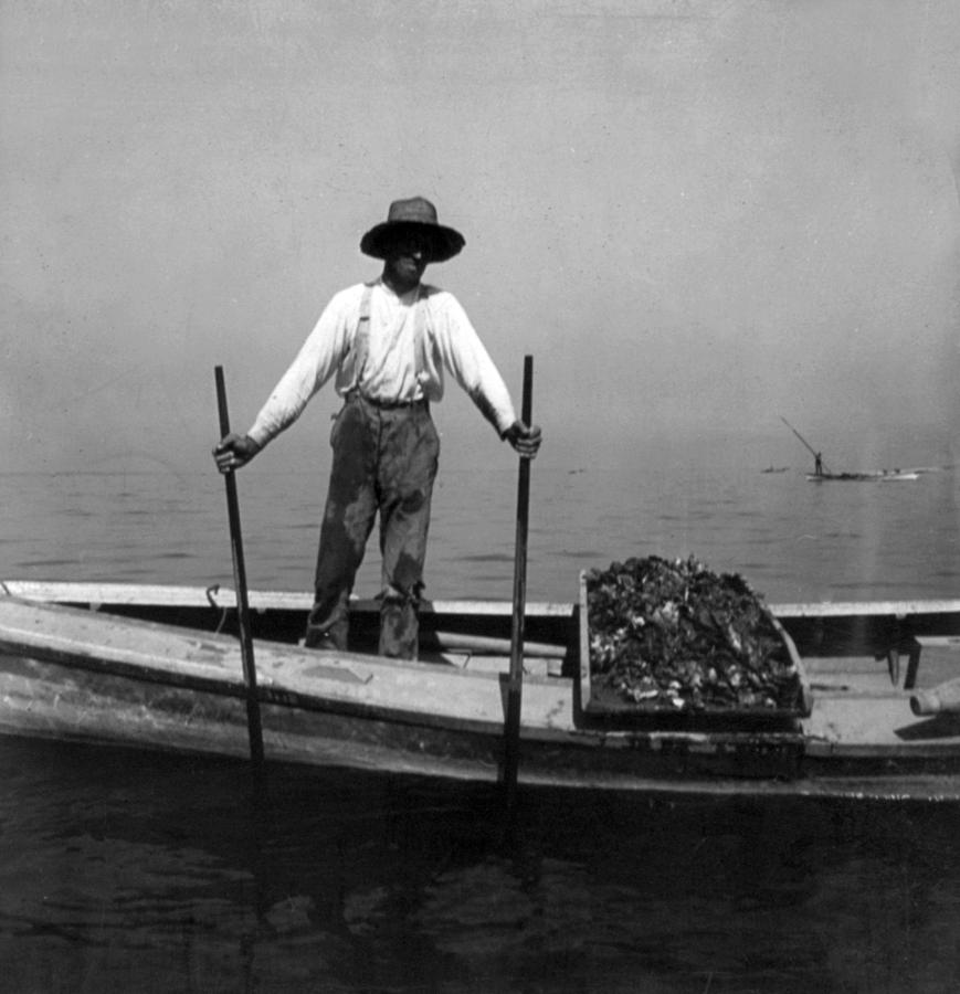 Vintage Photograph - Oyster Fishing on the Chesapeake Bay - Maryland - c 1905 by International  Images