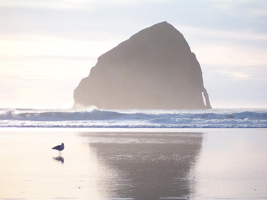 Pacific City Beach Reflected Photograph by Peter Mooyman