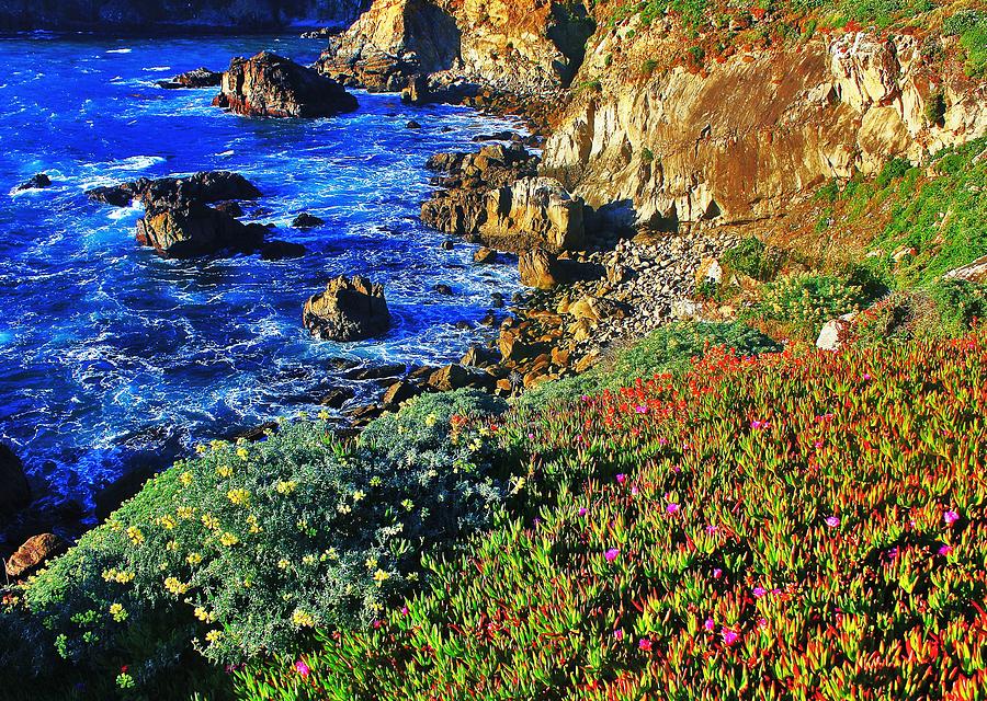 Pacific Colors Photograph by Benjamin Yeager - Fine Art America