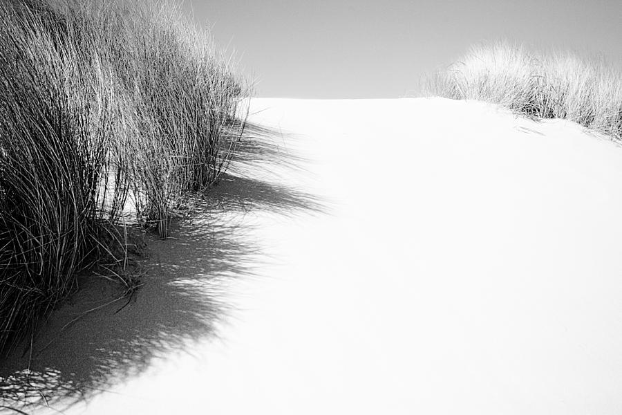 Pacific Dune Photograph by Bonnie Bruno