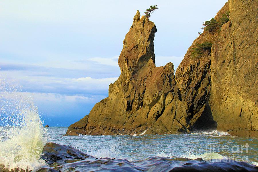 Pacific Sea Stacks Photograph by Adam Jewell
