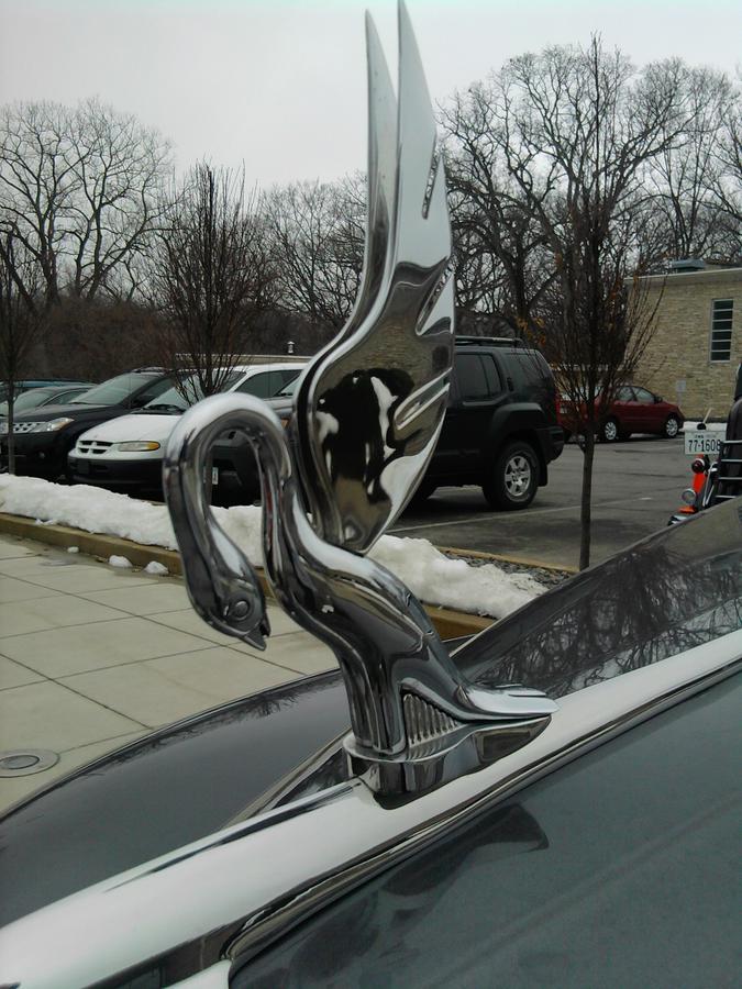 Packard Limo Hood Ornament Photograph by Tim Donovan