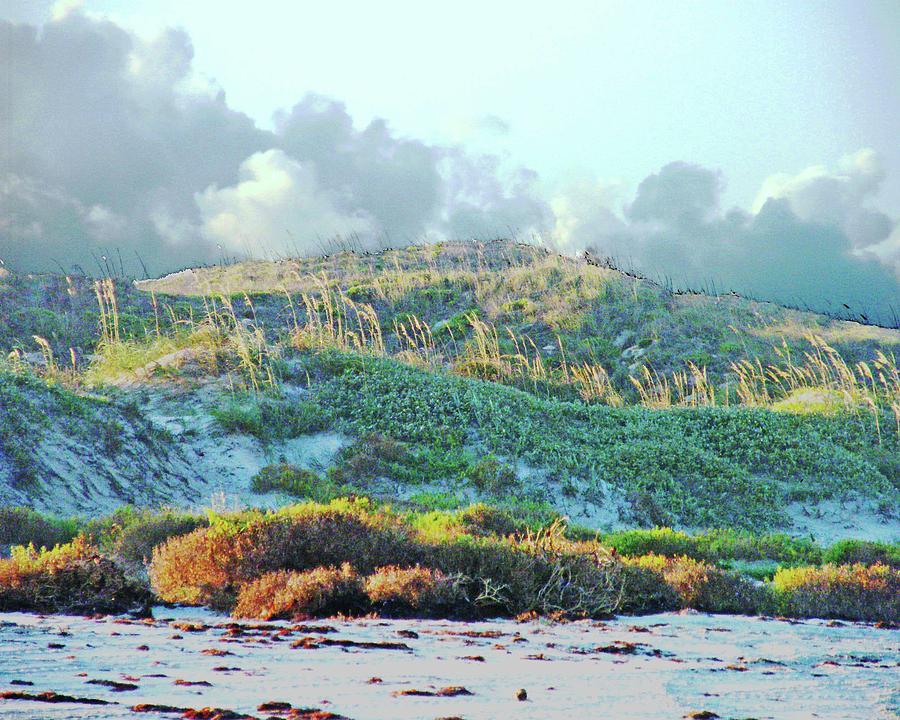 Padres Island National Park Beach Digital Art by Lizi Beard-Ward