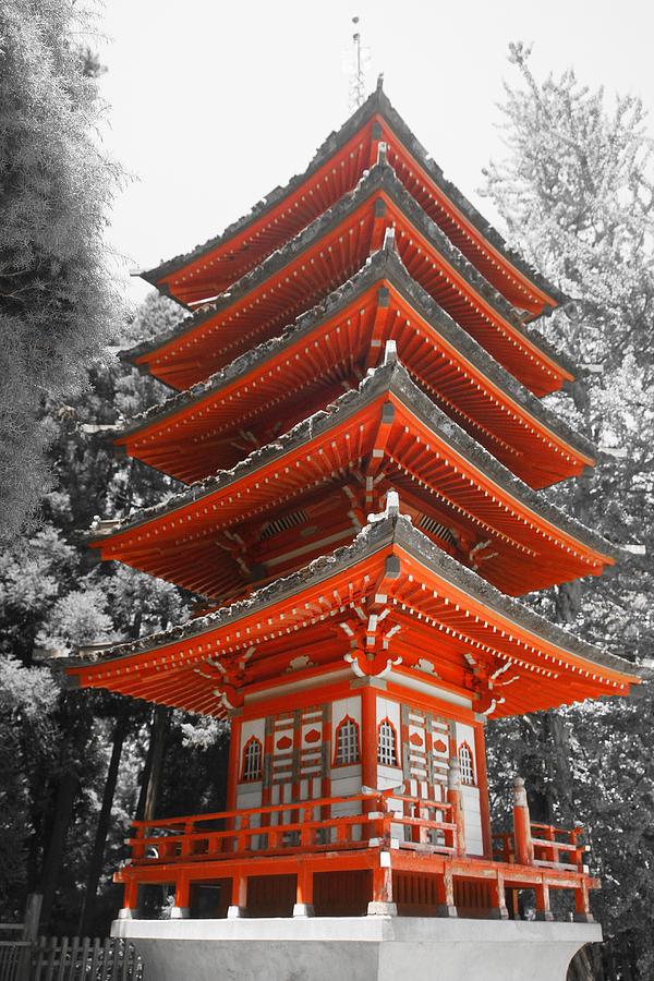 Pagoda Photograph by PMG Images | Fine Art America