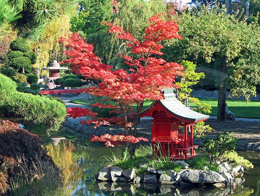 Pagoda Pond Photograph by Chris Anderson