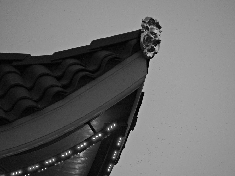 Pagoda Up Close Photograph by Dark Whimsy