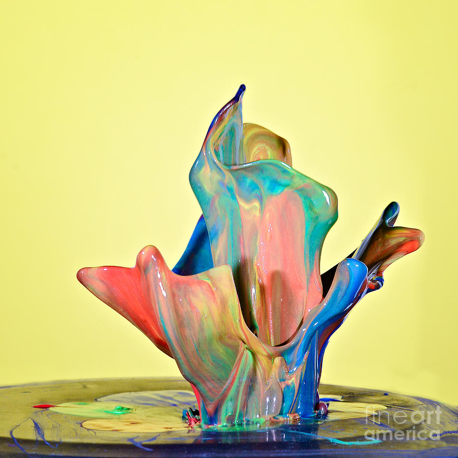 High Speed Photograph - Paint Art by Susan Candelario