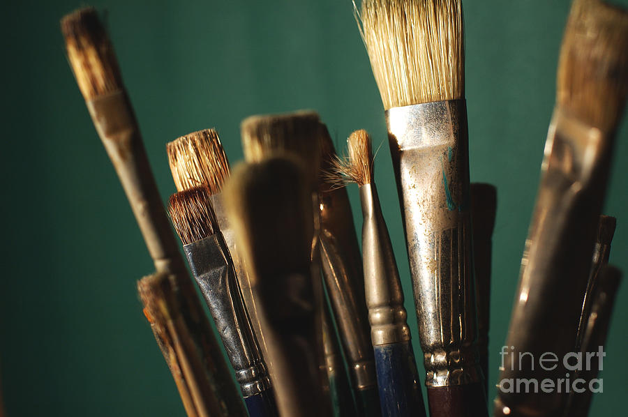 Paint Brushes Photograph by Micah May
