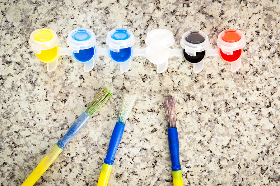 Paint brushes Photograph by Tom Gowanlock